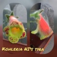 /album/fotogaleria-kohlerie/kohleria-ni%c2%b4s-tyra-jpg/